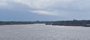 UPP Teluk Batang Tegaskan Aturan SPB, Tongkang Bauksit di Muara Teluk Melano Diminta Segera Bergerak!