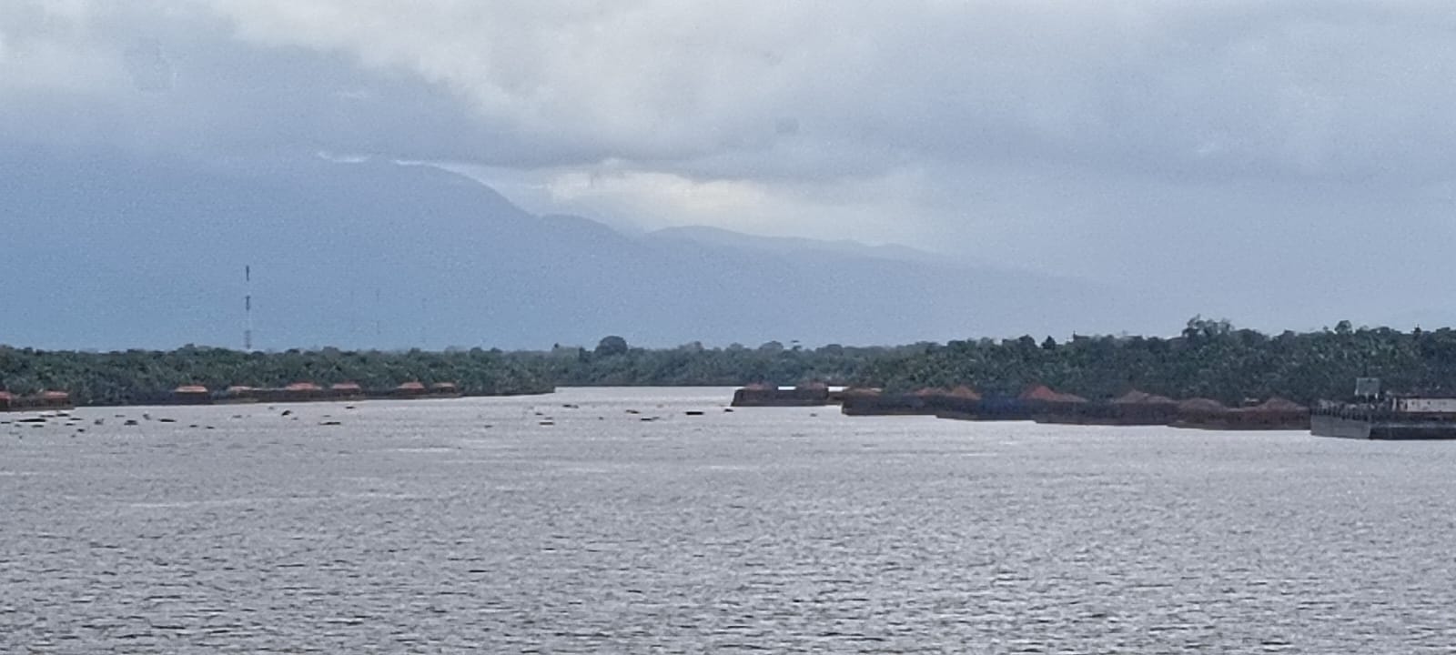 UPP Teluk Batang Tegaskan Aturan SPB, Tongkang Bauksit di Muara Teluk Melano Diminta Segera Bergerak!
