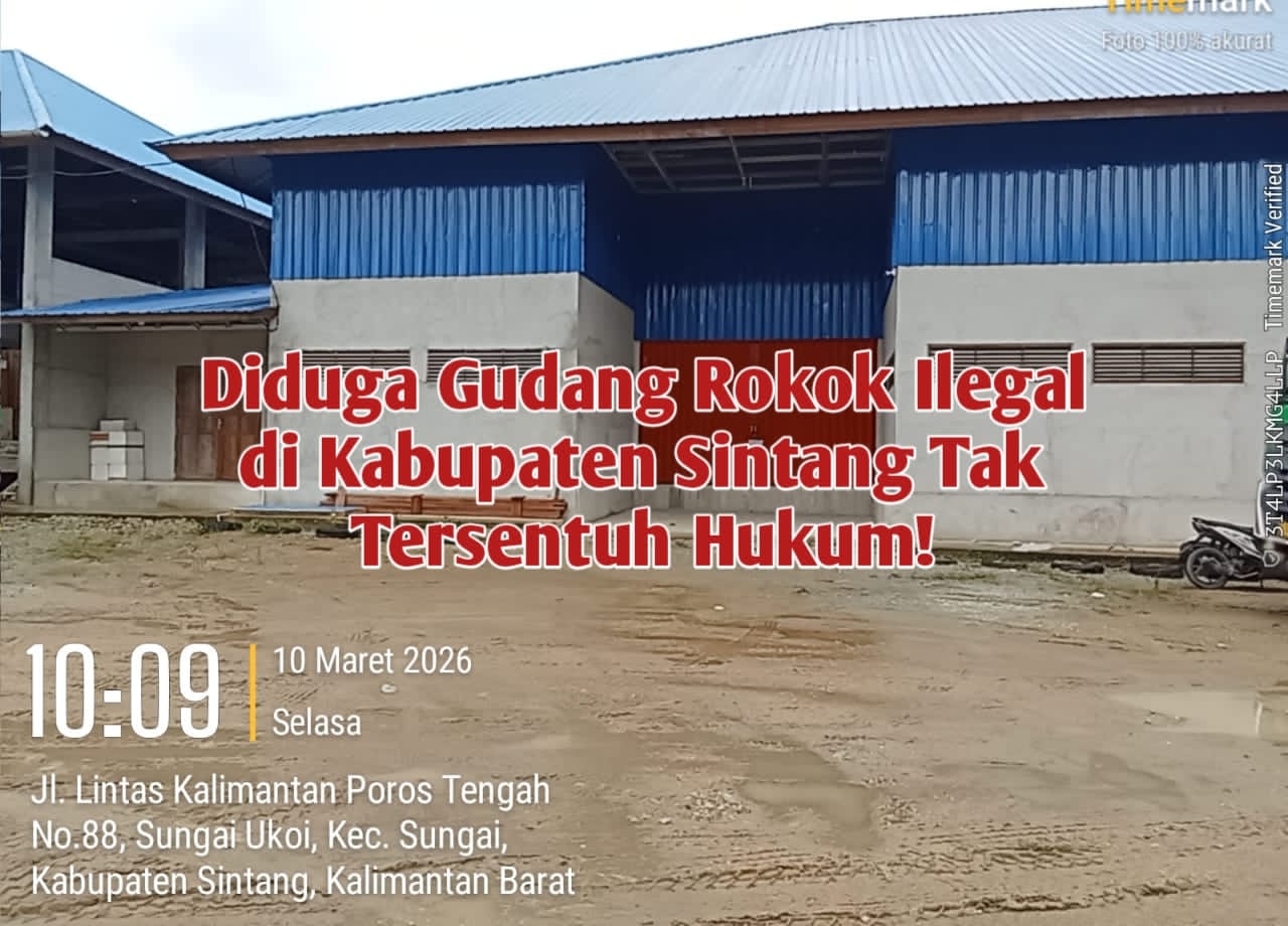 Gudang Rokok Ilegal Diduga Beroperasi di Sintang, Warga Pertanyakan Ketegasan Aparat!