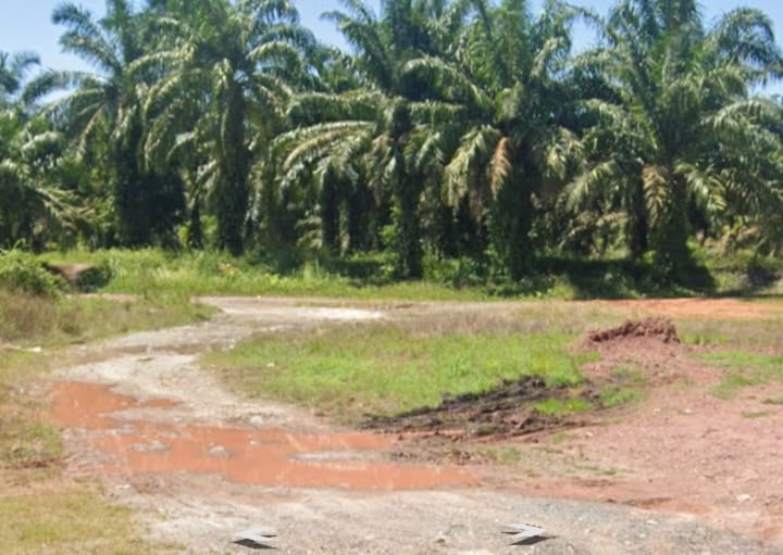 “Lapor Pak Dandim 0209/ LB” Diduga masih beroprasi di sapu Lidi ( Lidi-lidi) peredaran Narkoba Jenis Sabu